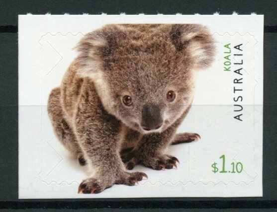 Australia Wild Animals Stamps 2019 MNH Fauna Part II Koalas Koala 1v S/A Set