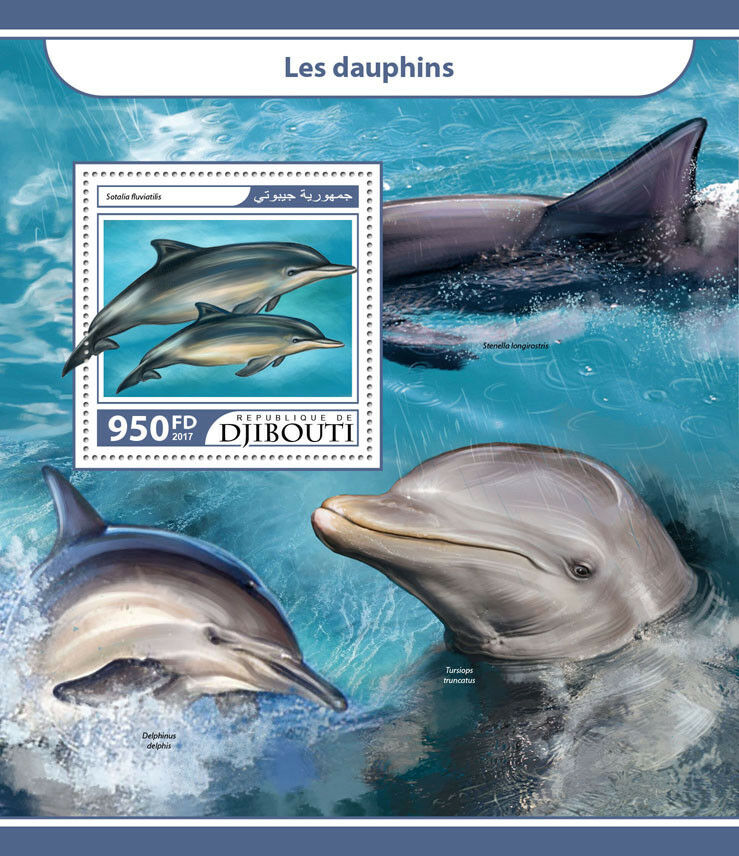 Djibouti 2017 MNH Dolphins 1v S/S Tucuxi Marine Animals Stamps