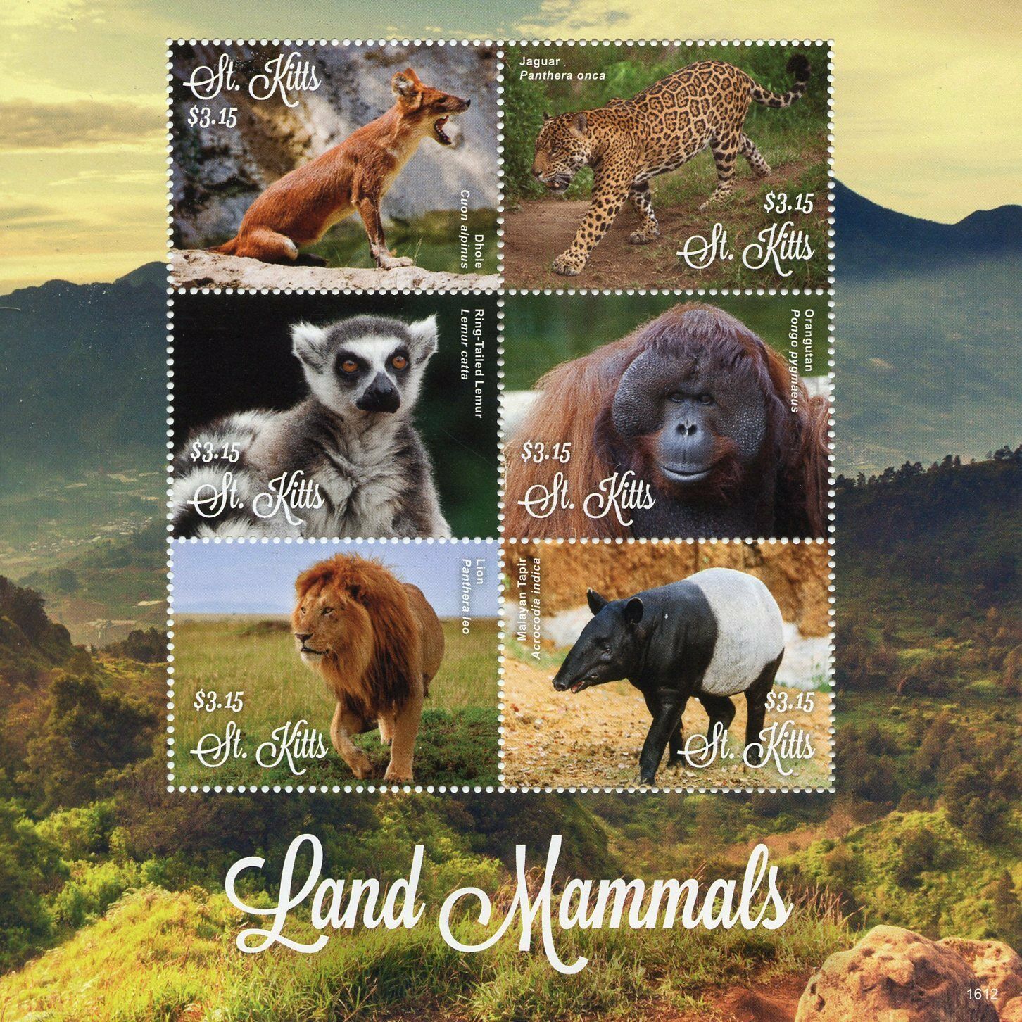 St Kitts 2016 MNH Land Mammals Lions Tapirs Lemurs Jaguars Dhole 6v M/S Stamps