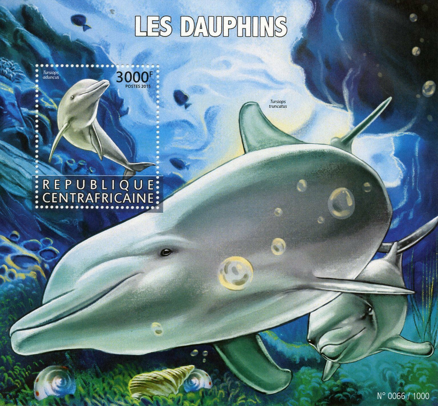 Central African Rep 2015 MNH Dolphins 1v S/S Marine Animals Bottlenose Dolphin