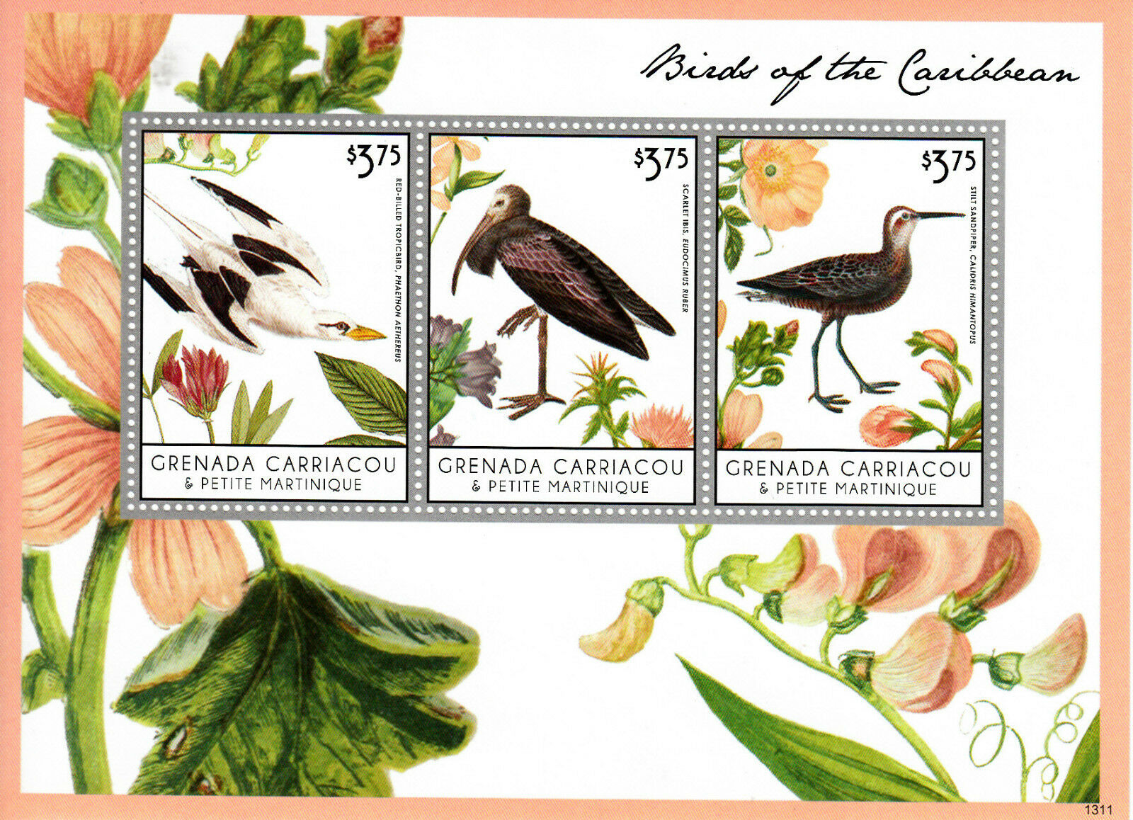 Grenadines Grenada 2013 MNH Birds of Caribbean 3v M/S I Ibis Sandpipers Stamps