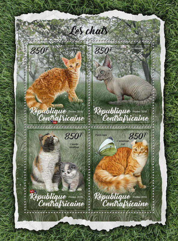 Central African Rep 2018 MNH Cats Stamps American Curl LaPerm Minskin Cat 4v M/S