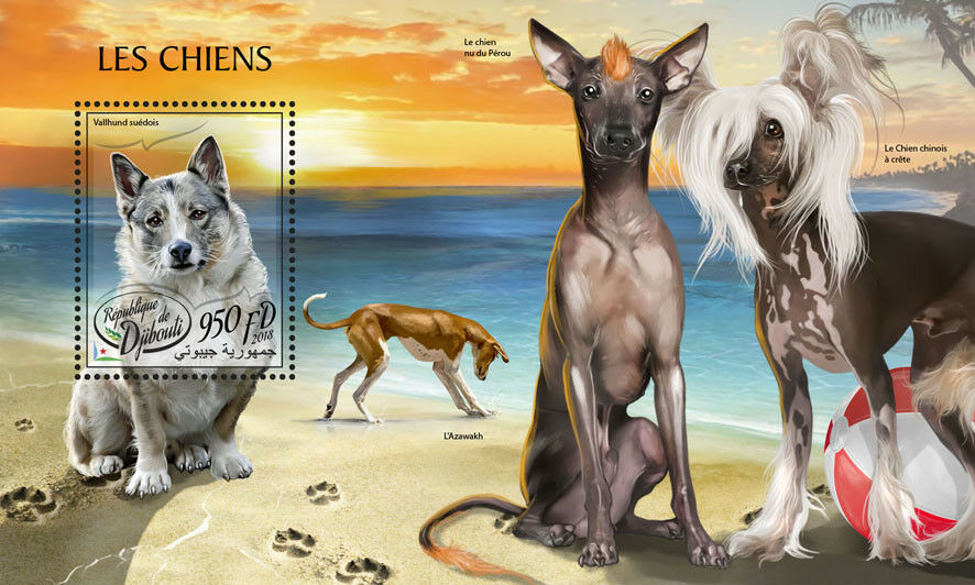 Djibouti 2018 MNH Dogs Swedish Vallhund Azawakh 1v S/S Dog Stamps