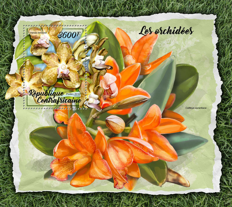Central African Rep 2018 MNH Orchids Cattleya Vanda Orchid 1v S/S Flowers Stamps