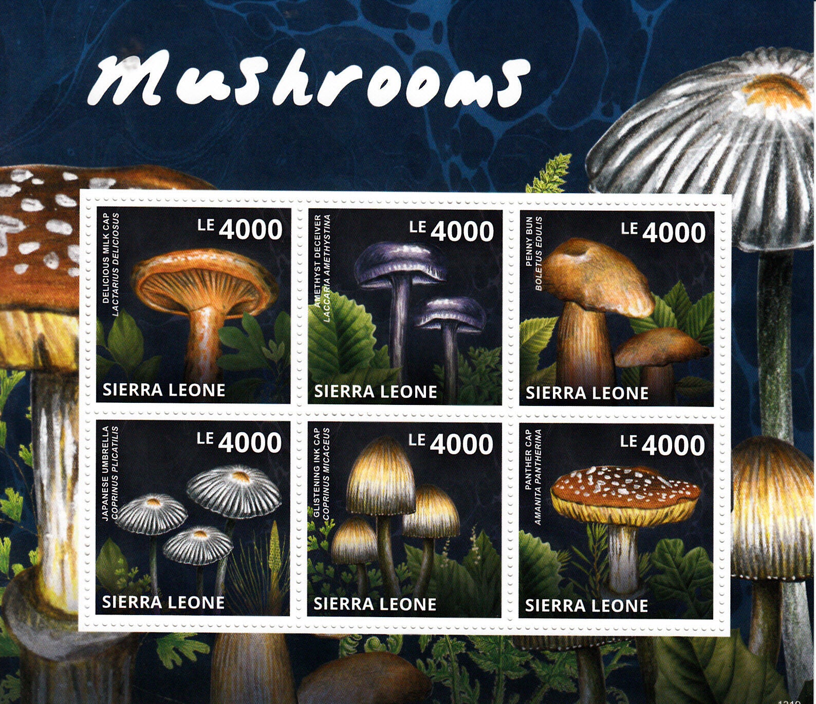 Sierra Leone 2013 MNH Mushrooms Stamps Milk Cap Penny Bun Mushroom Nature 6v M/S
