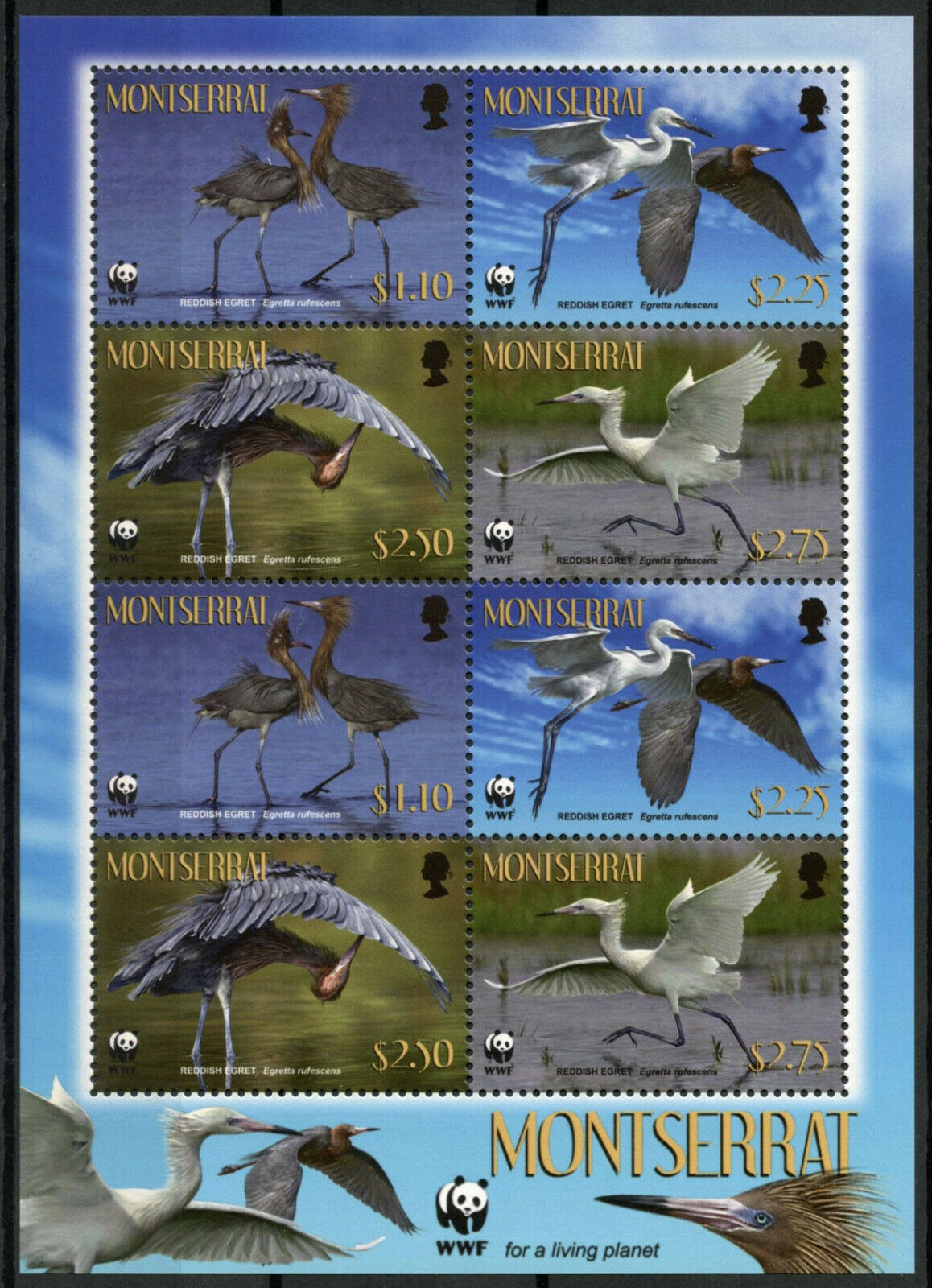 Montserrat Birds on Stamps 2010 MNH Reddish Egret Egrets WWF 8v M/S