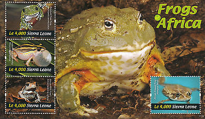Sierra Leone 2011 MNH Amphibians Stamps Frogs of Africa Tree Frog African Red Toad 4v M/S