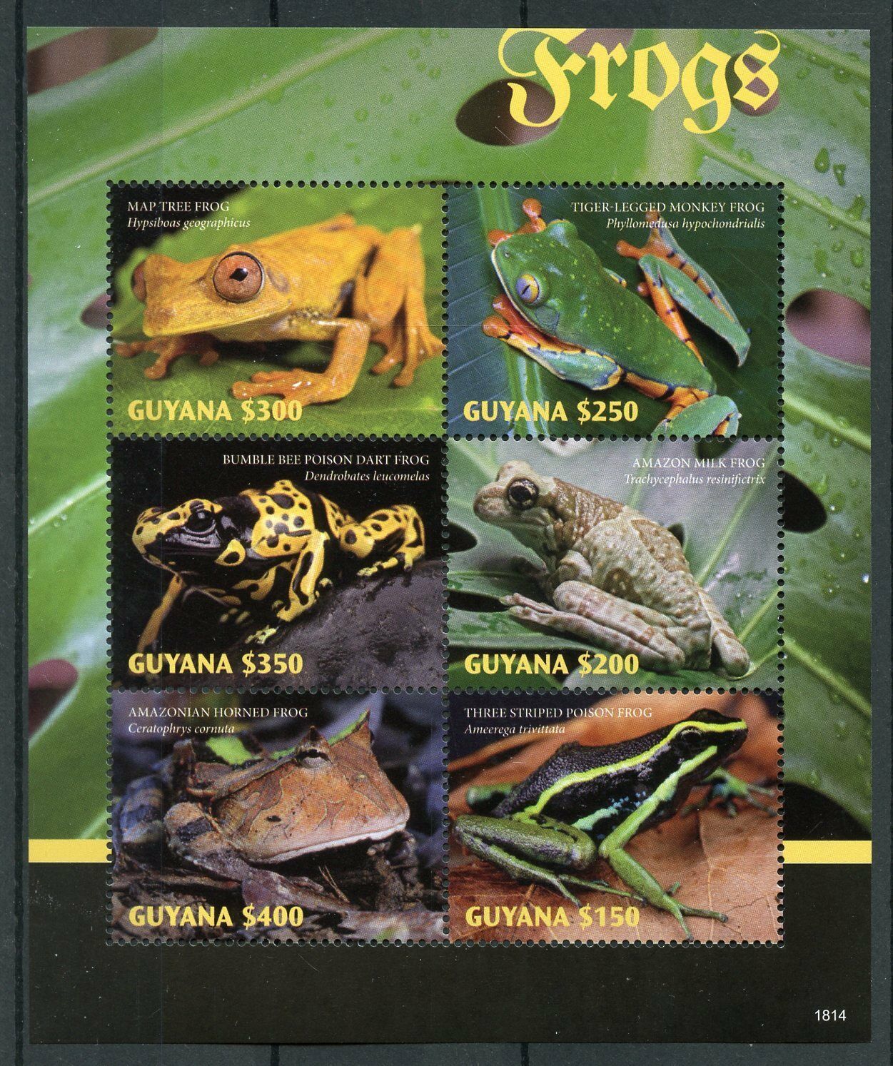 Guyana Reptiles & Amphibians Stamps 2018 MNH Frogs Poison Dart Frog 6v M/S
