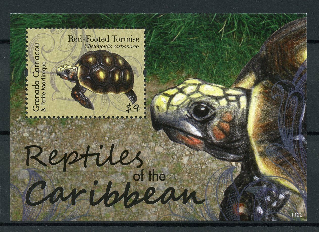 Grenadines Grenada 2011 MNH Reptiles Caribbean 1v S/S I Turtles Tortoises Stamps