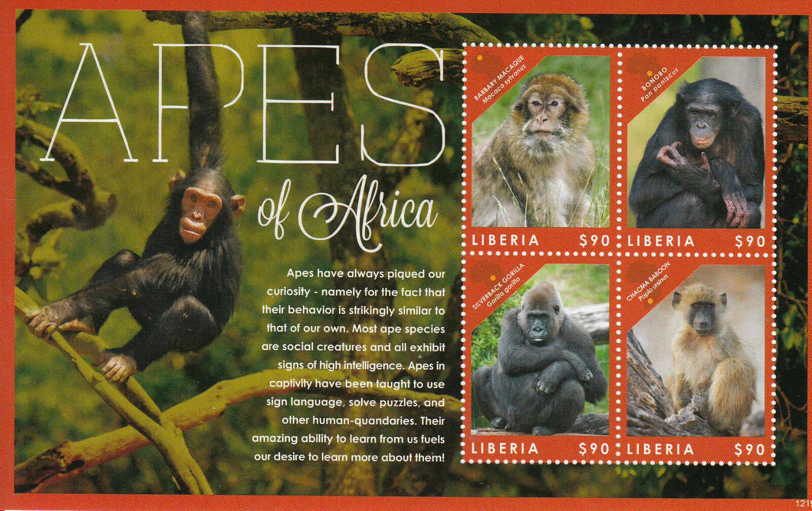 Liberia 2012 MNH Apes of Africa 4v M/S Fauna Macaque Bonobo Gorilla Baboon