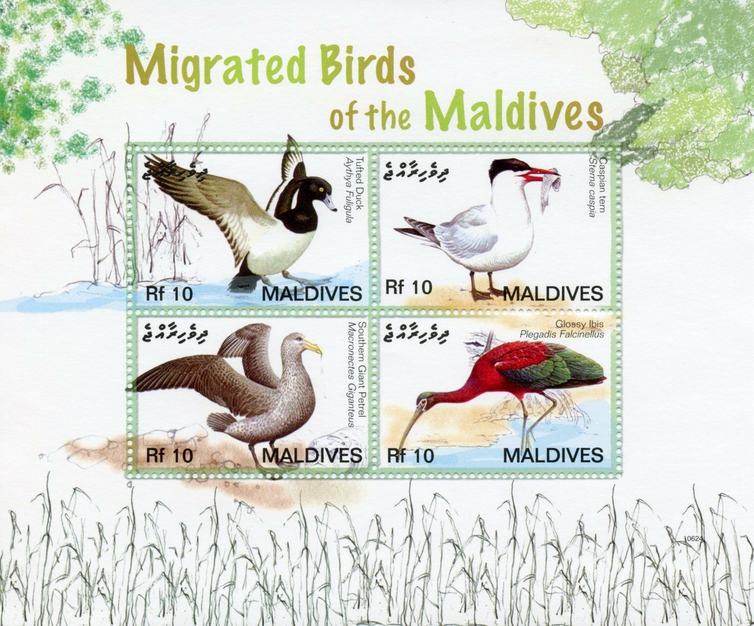 Maldives 2006 MNH Migrated Birds on Stamps Tufted Duck Tern Petrel Ibis 4v M/S II