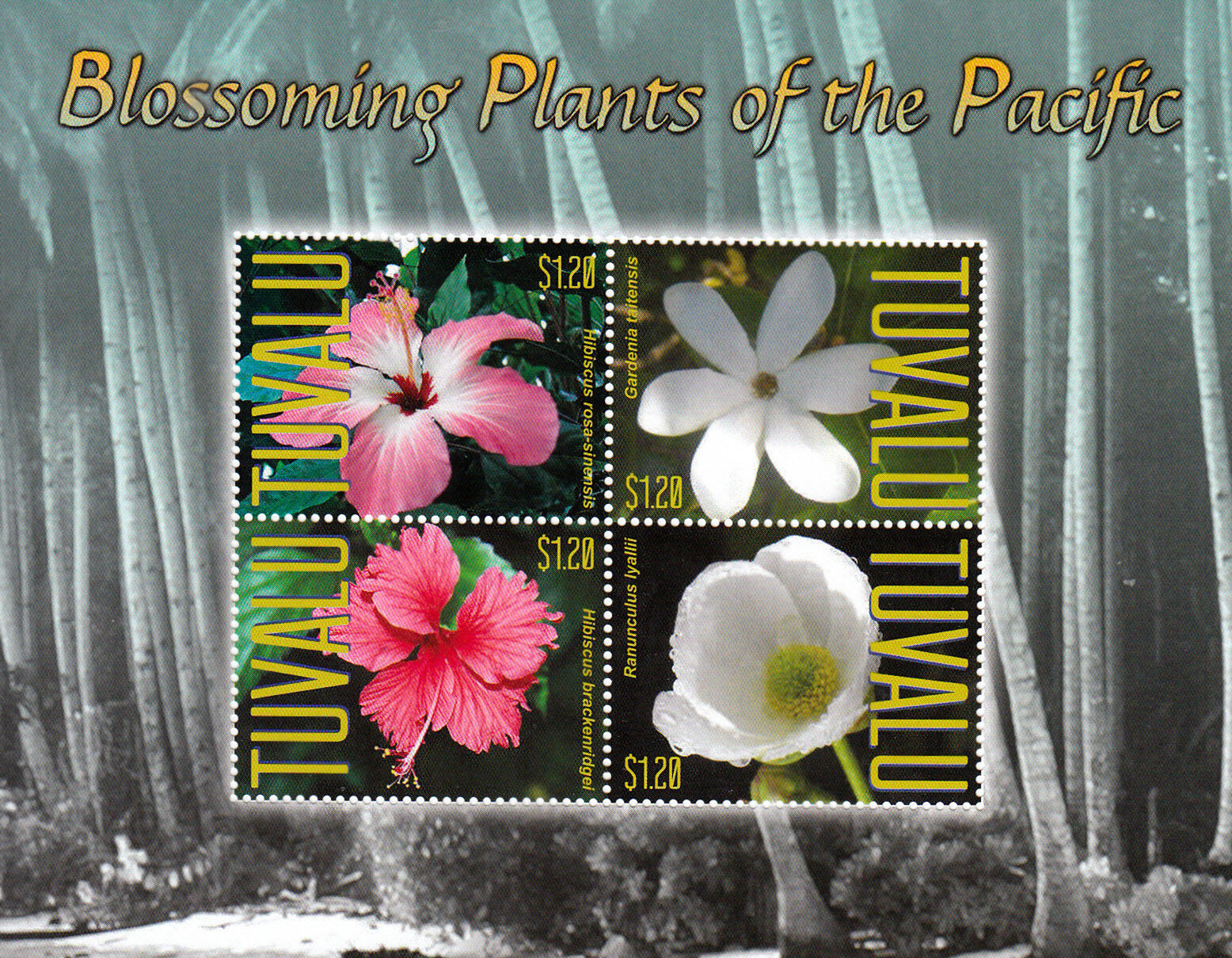 Tuvalu 2013 MNH Blossoming Plants of Pacific II 4v M/S Butterflies Flowers