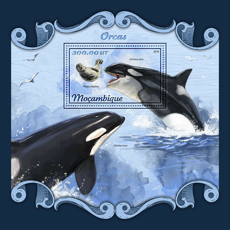 Mozambique 2018 MNH Orcas Killer Whales Seals 1v S/S Marine Animals Stamps