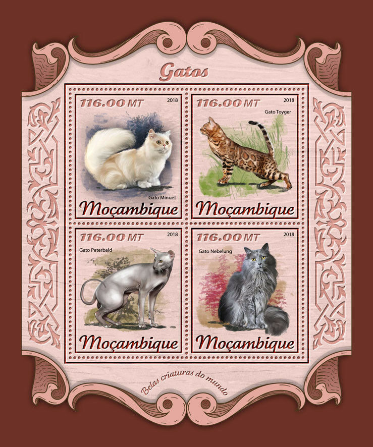 Mozambique 2018 MNH Cats Peterbald Nebelung Toyger Minuet Cat 4v M/S Stamps