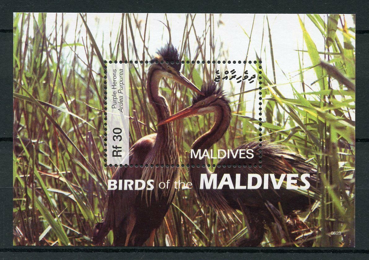 Maldives 2006 MNH Birds Purple Heron 1v S/S II Herons Stamps