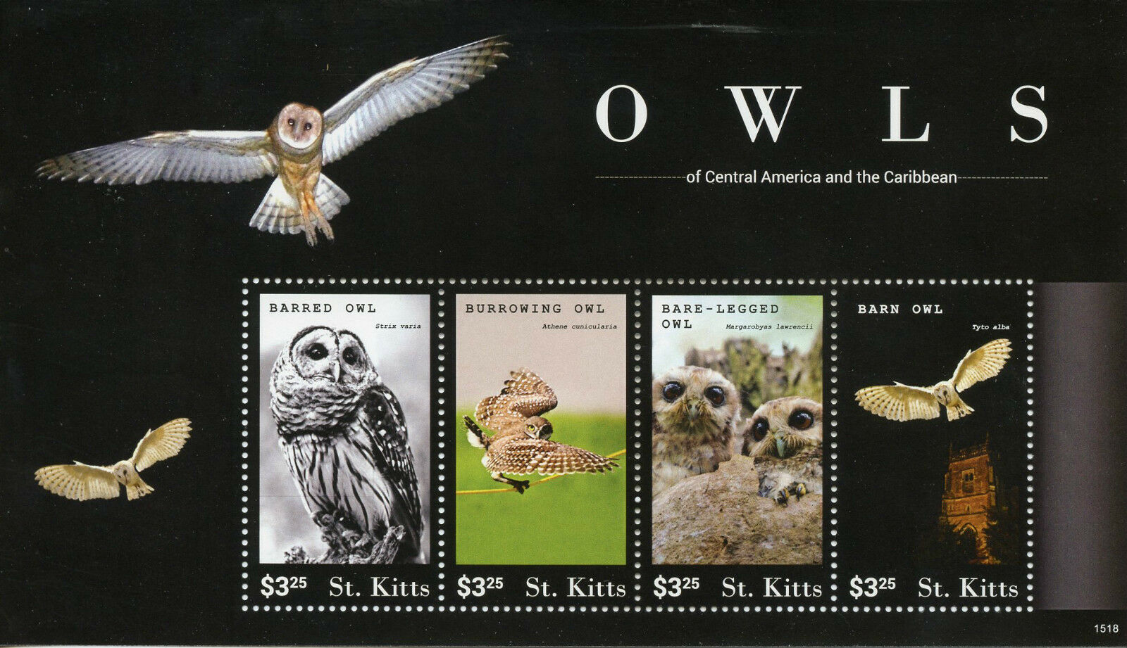 St Kitts 2015 MNH Owls Cent America & Caribbean 4v M/S II Birds Barn Owl Stamps