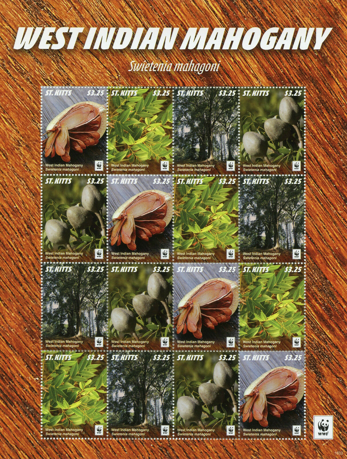St Kitts 2016 MNH West Indian Mahogany WWF 16v M/S Trees Plants Stamps