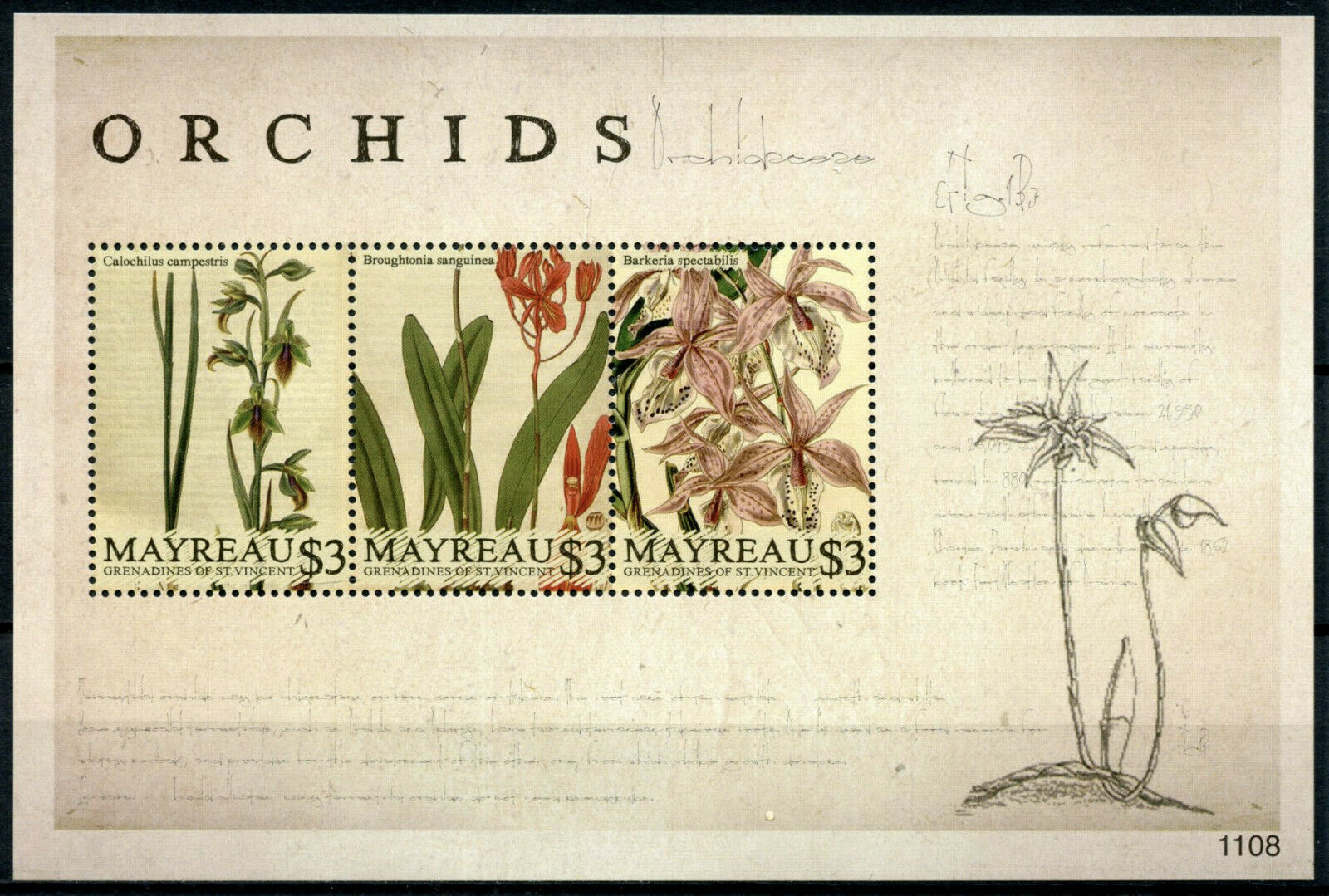 Mayreau Grenadines St Vincent Flowers Stamps 2011 MNH Orchids Flora 3v M/S I