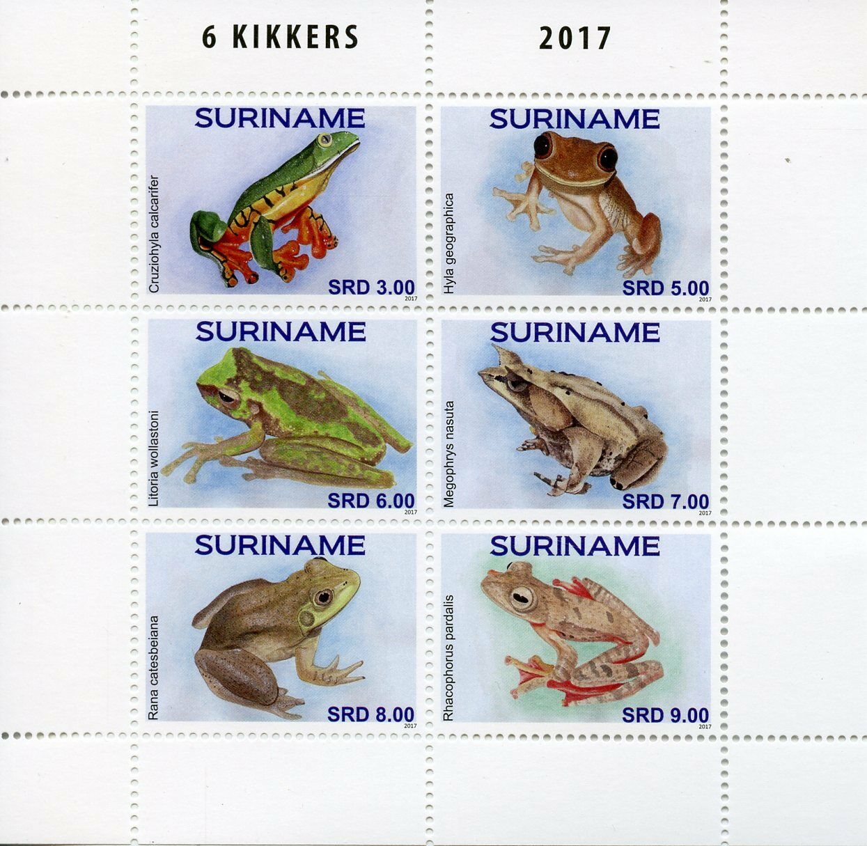 Suriname Frogs Stamps 2017 MNH Frog Kikkers Amphibians 6v M/S