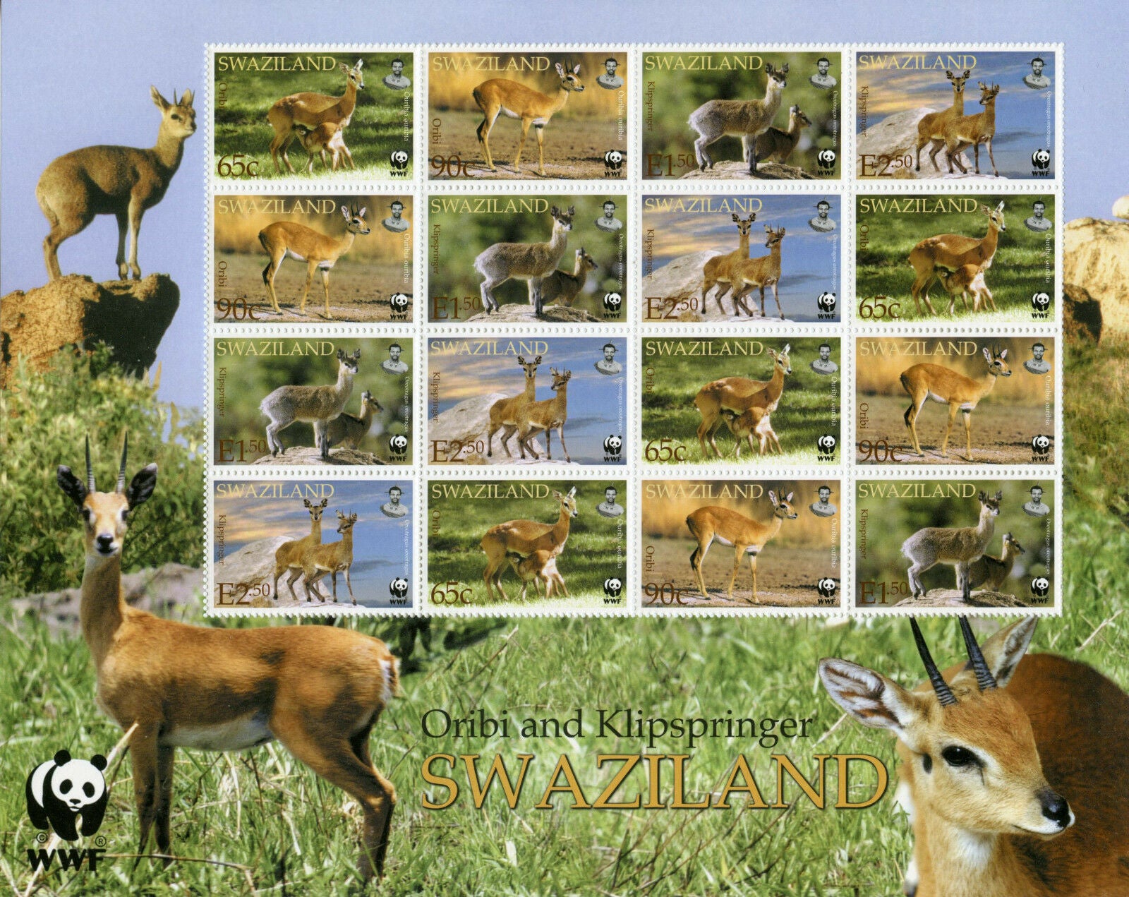 Swaziland Wild Animals Stamps 2000 MNH Oribi & Klipspringer WWF Deer 16v M/S