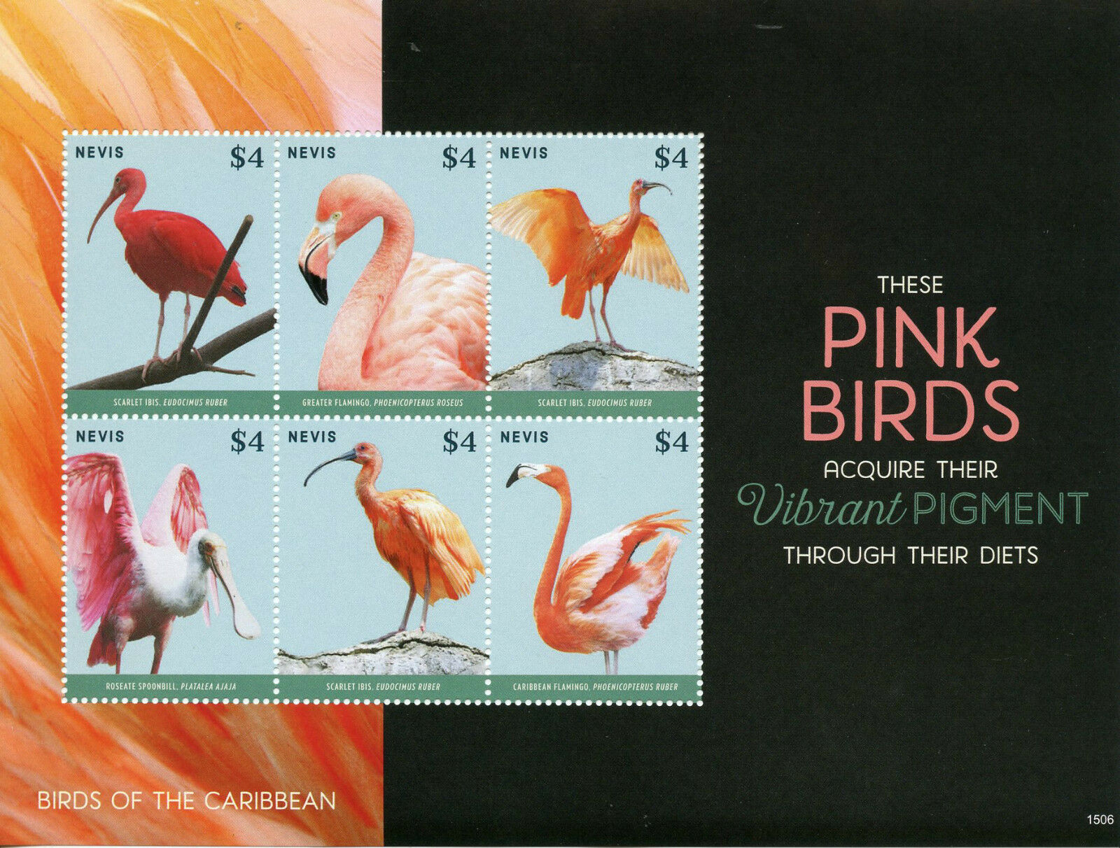 Nevis 2015 MNH Birds of Caribbean 6v M/S Pink Birds Ibis Flamingos Spoonbill