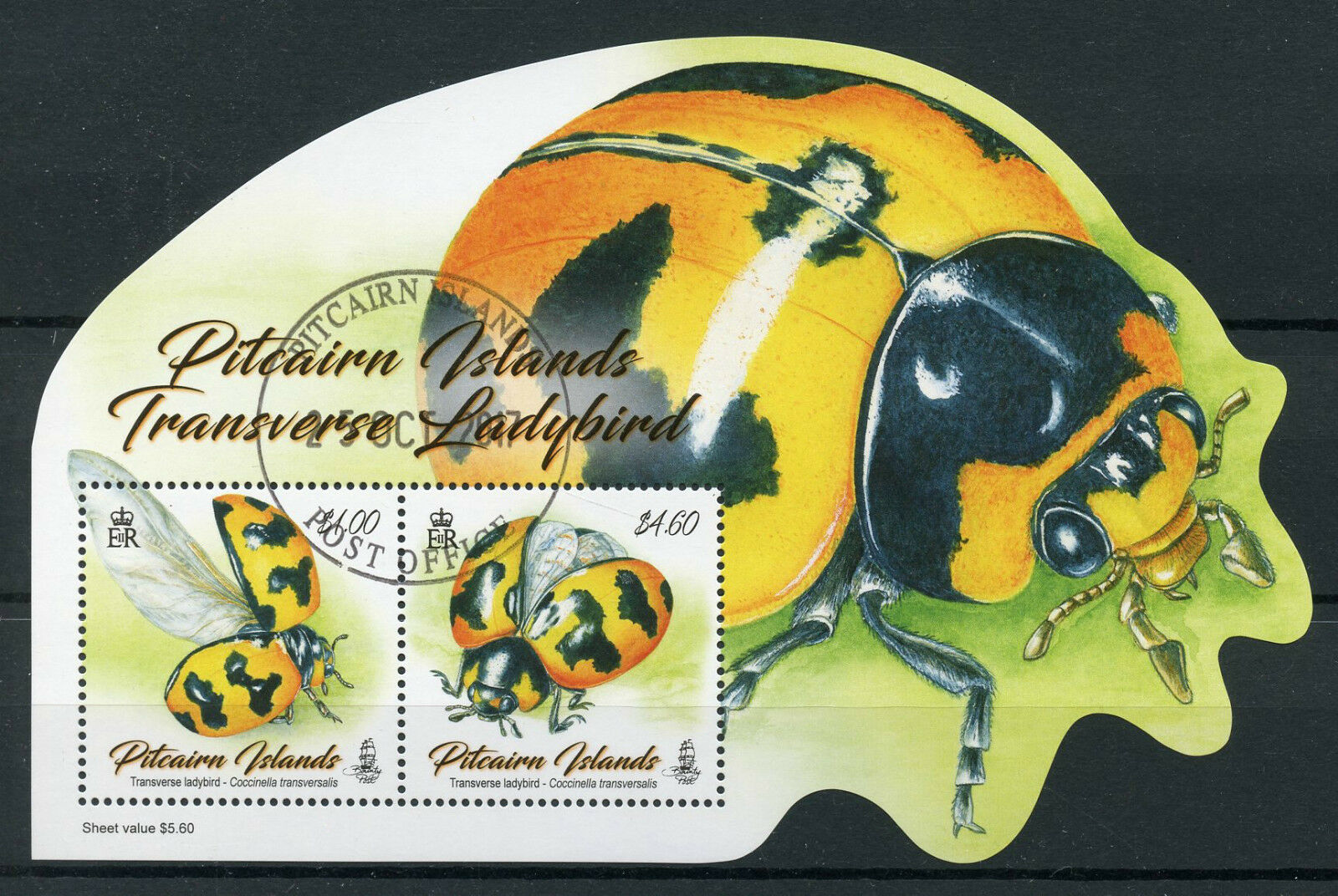 Pitcairn Islands 2017 CTO Transverse Ladybird 2v M/S Ladybirds Beetles Stamps