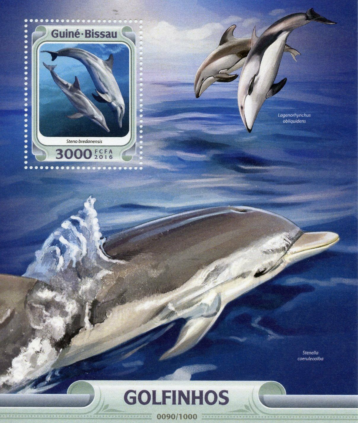 Guinea-Bissau 2016 MNH Dolphins 1v S/S Marine Animals Rough Toothed Dolphin