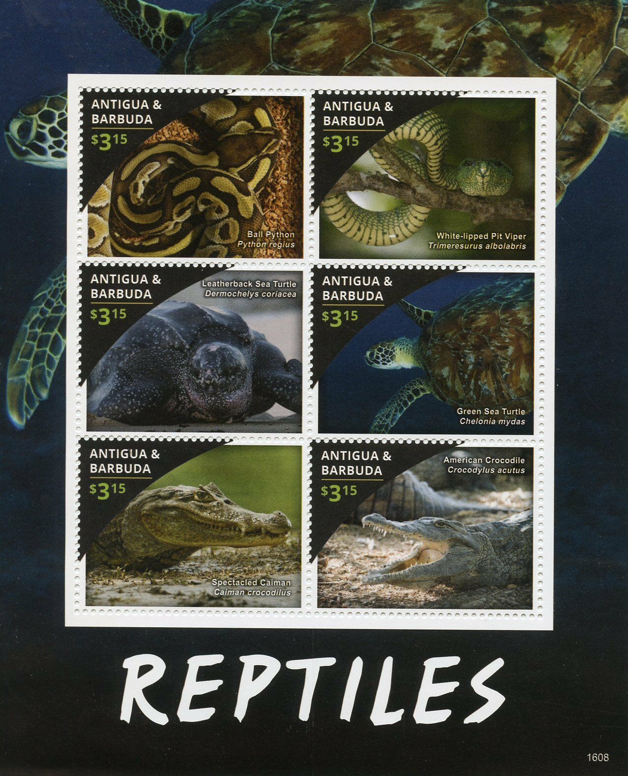 Antigua & Barbuda 2016 MNH Reptiles Stamps Snakes Turtles Crocodiles 6v M/S