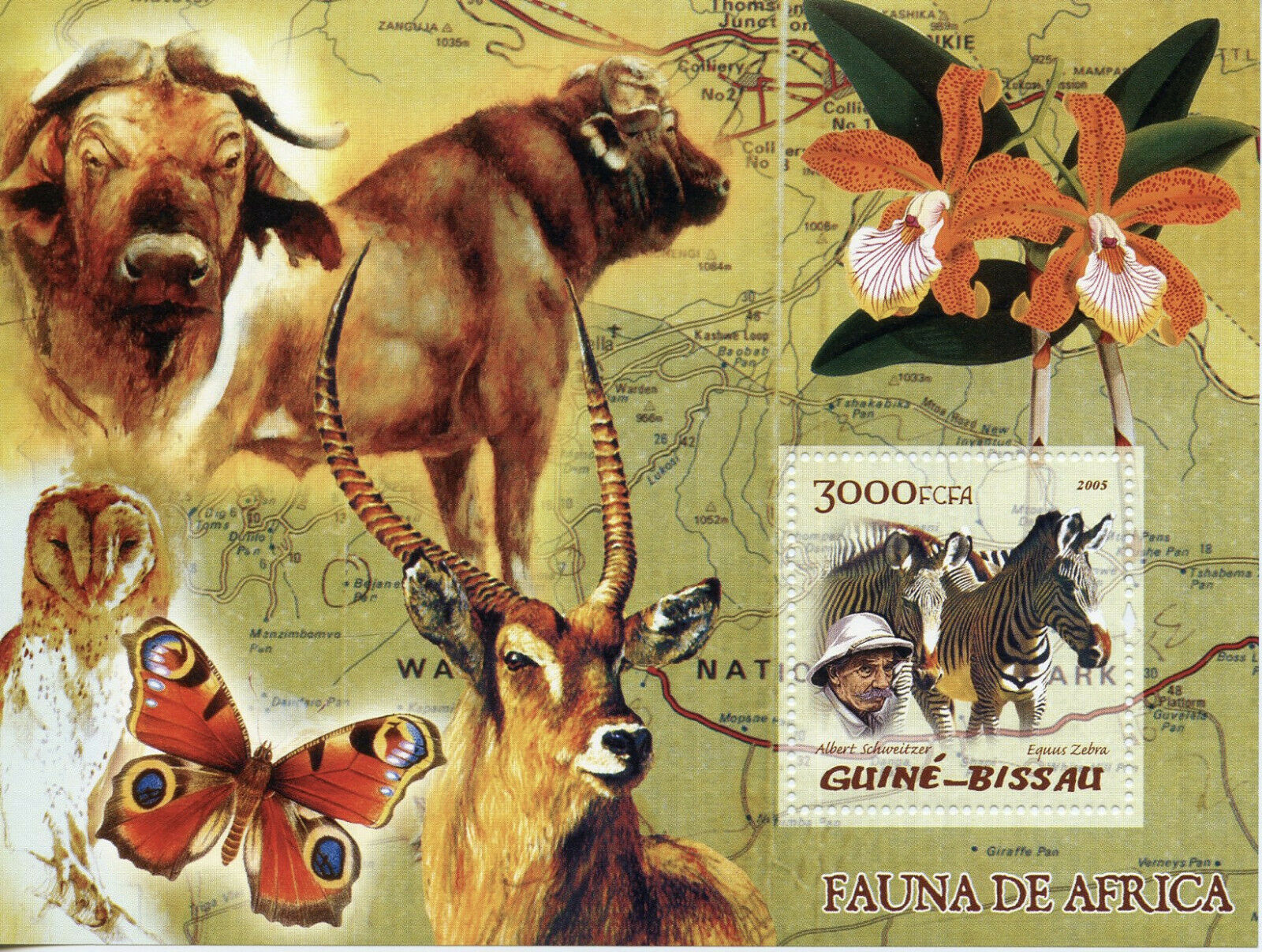 Guinea-Bissau Wild Animals Stamps 2005 MNH Zebras Albert Schweitzer Fauna 1v S/S