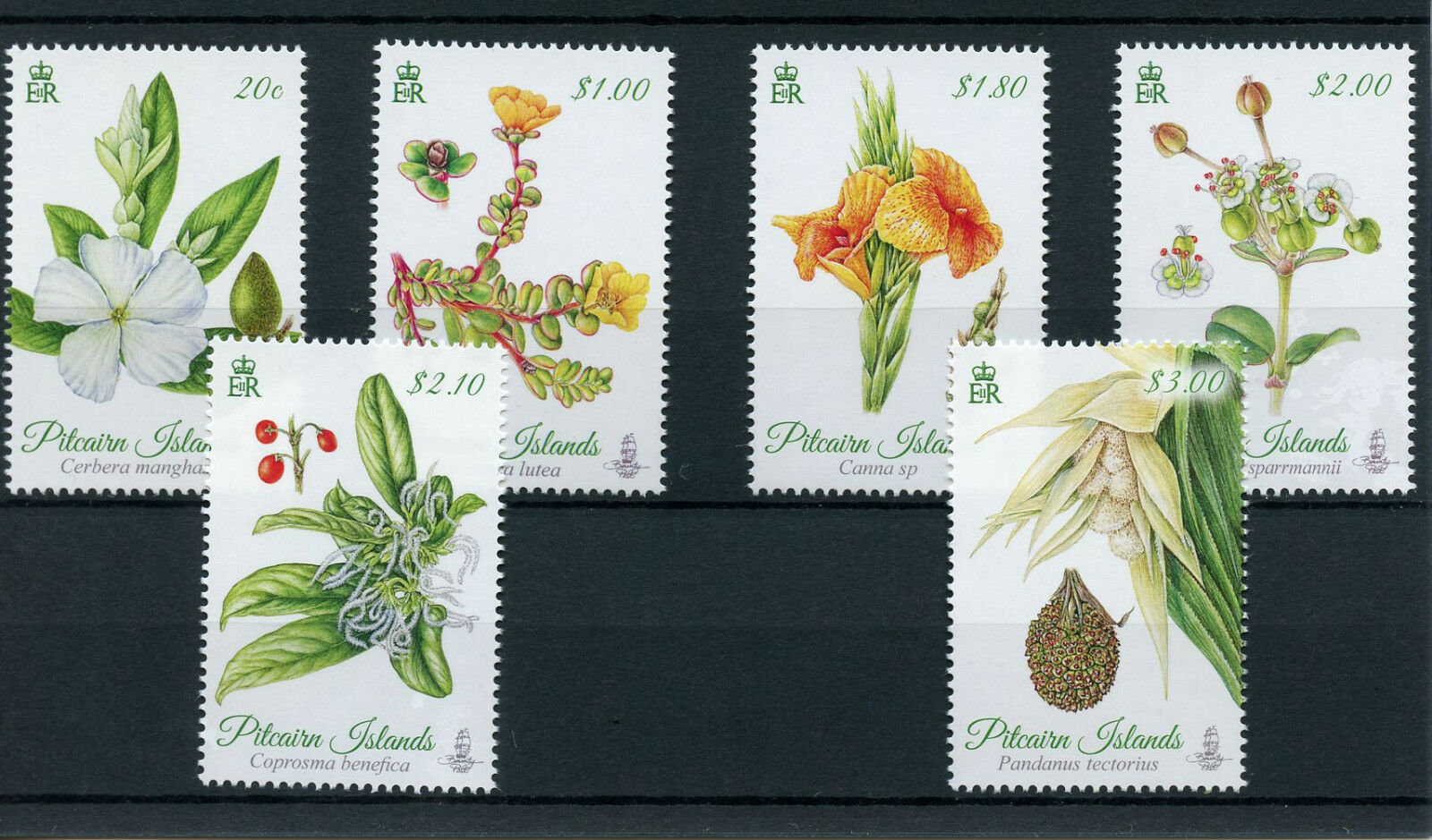 Pitcairn Islands 2014 MNH Botanica 6v Set Flowers Plants Trees Nature Flora