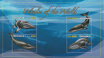 Sierra Leone 2010 MNH Whales of the World 4v M/S II Minke Sei Blue Whale