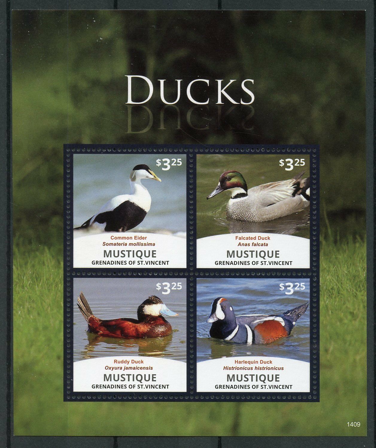 Mustique Gren St Vincent 2014 MNH Ducks Eider Ruddy Duck 4v M/S Birds Stamps