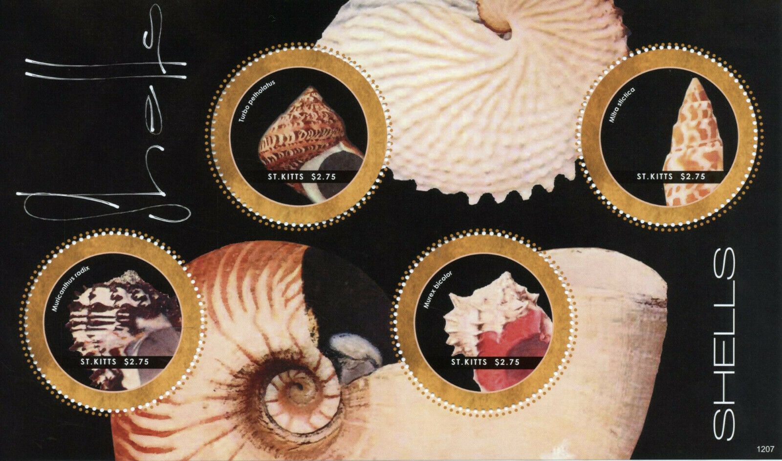 St Kitts Seashells Stamps 2012 MNH Shells Marine Turbo Petholatus Murex 4v M/S