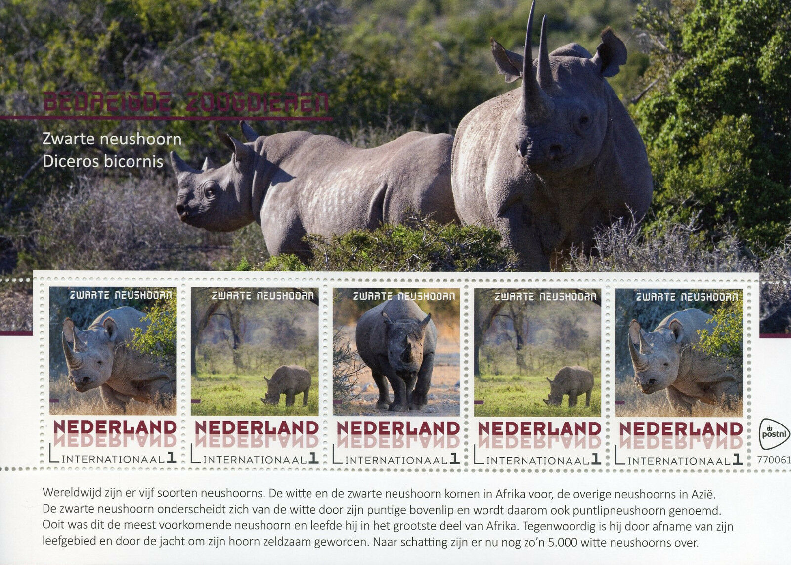 Netherlands 2018 MNH Black Rhinoceros Endangered Animals 5v M/S Rhinos Stamps