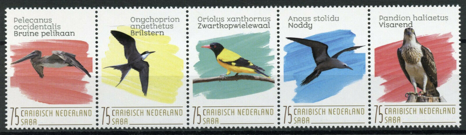 Saba Caribbean Netherlands Birds on Stamps 2020 MNH Orioles Pelicans 5v Strip
