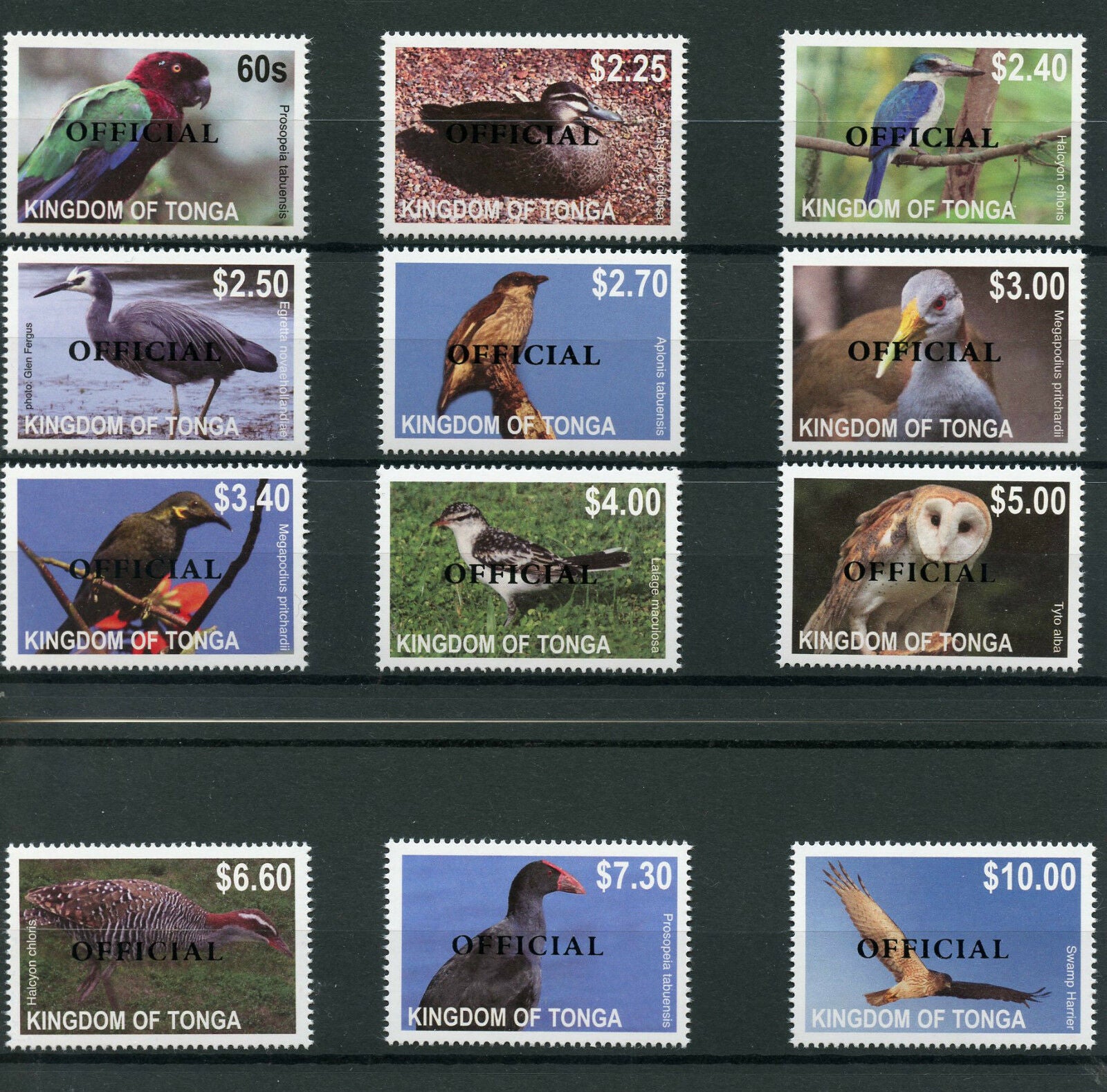 Tonga 2014 MNH Birds Definitives Part 1 OFFICIAL Overprint 12v Set OVPT Owls