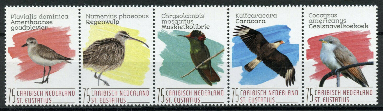 St Eustatius Caribbean Netherlands Birds on Stamps 2020 MNH Waders 5v Strip