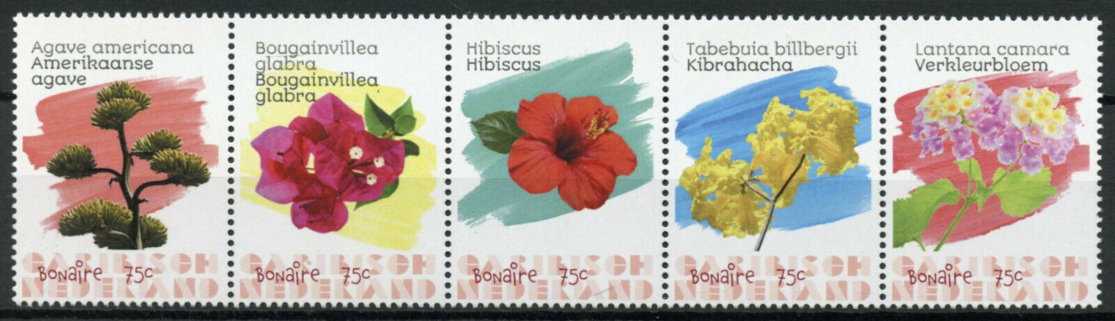 Bonaire Caribbean Netherlands Flowers Stamps 2020 MNH Hibiscus Agave 5v Strip