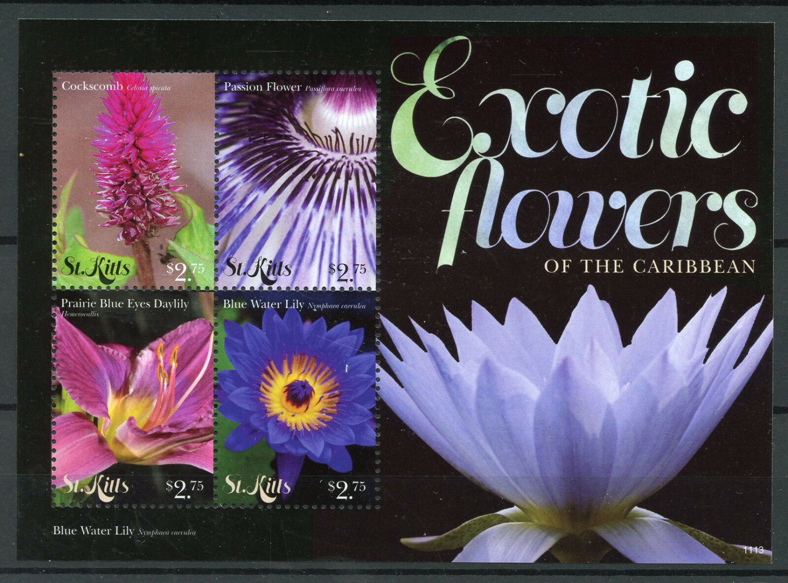 St Kitts 2011 MNH Exotic Flowers of Caribbean Cockscomb Lilies 4v M/S II Stamps