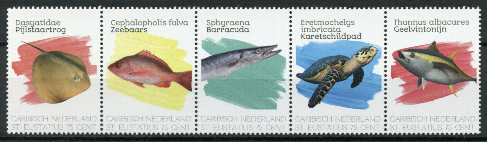 St Eustatius Caribbean Netherlands Fish Stamps 2020 MNH Rays Turtles 5v Strip