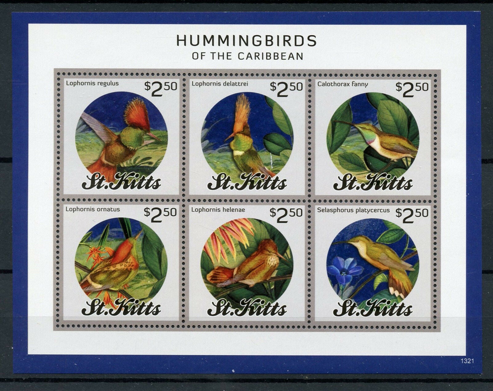 St Kitts Birds on Stamps 2013 MNH Hummingbirds of Carribean Hummingbird 6v M/S