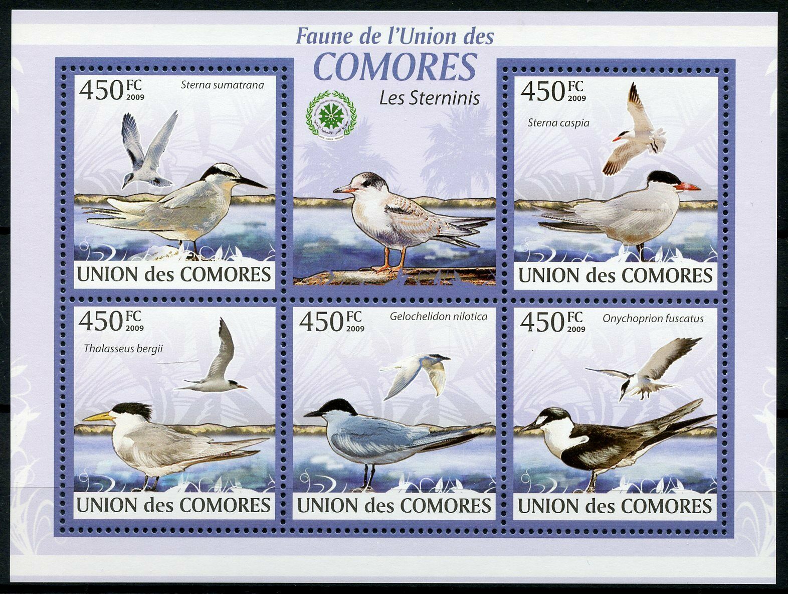 Comoros Birds on Stamps 2009 MNH Terns Caspian Tern Sterninis Fauna 5v M/S