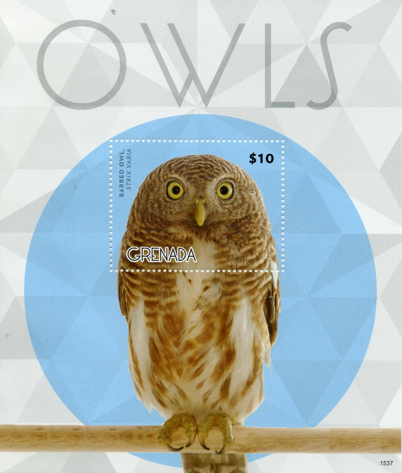 Grenada 2015 MNH Birds of Prey on Stamps Owls Barred Owl 1v S/S II