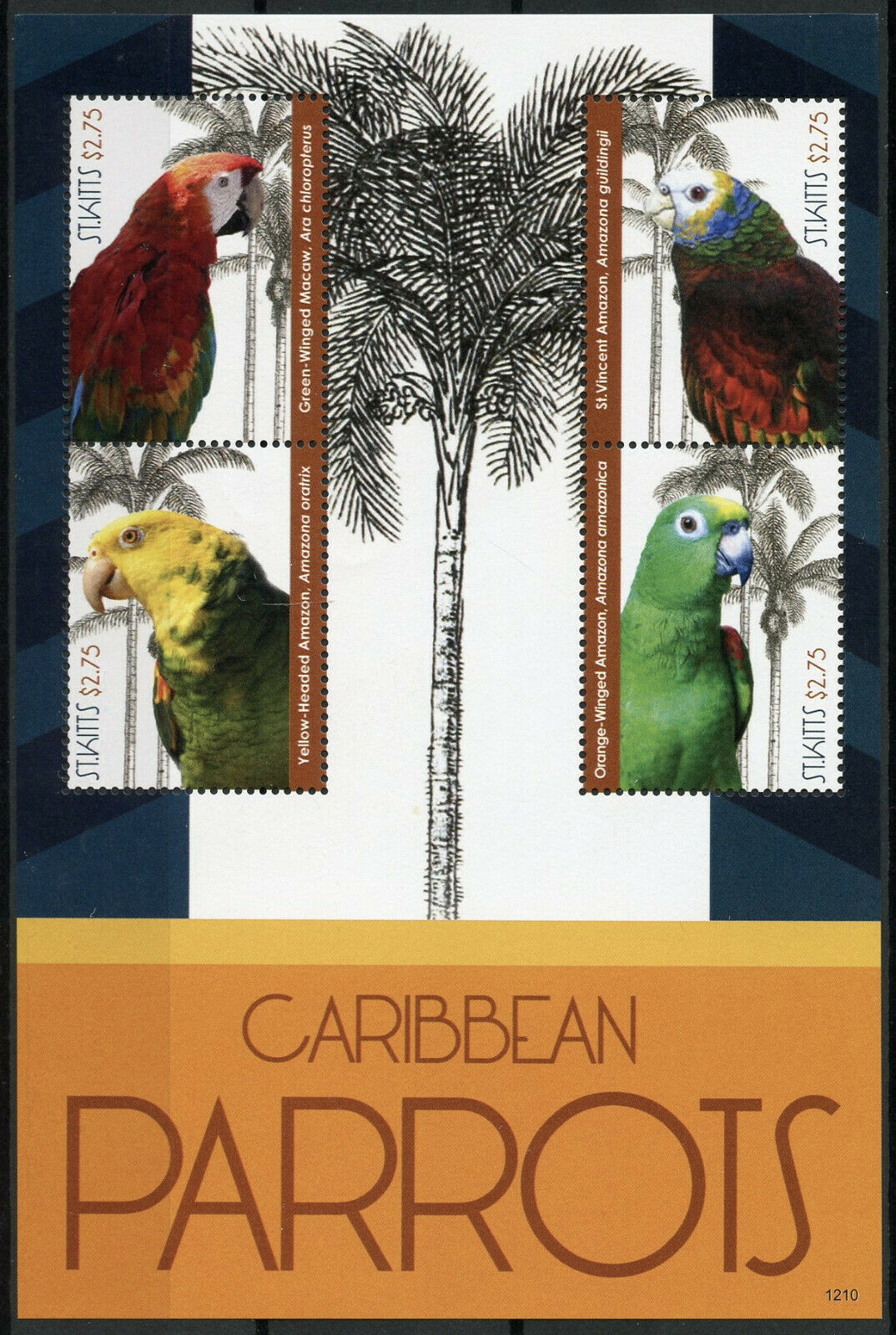 St Kitts Birds on Stamps 2012 MNH Caribbean Parrots Macaws Amazons 4v M/S