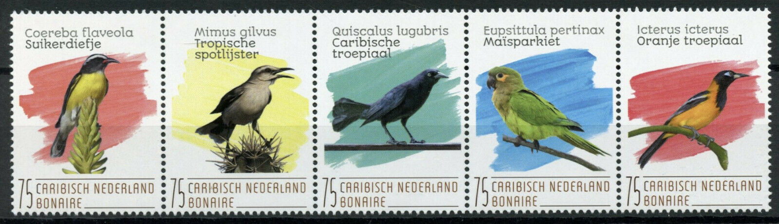 Bonaire Caribbean Netherlands Birds on Stamps 2020 MNH Parrots Troupial 5v Strip