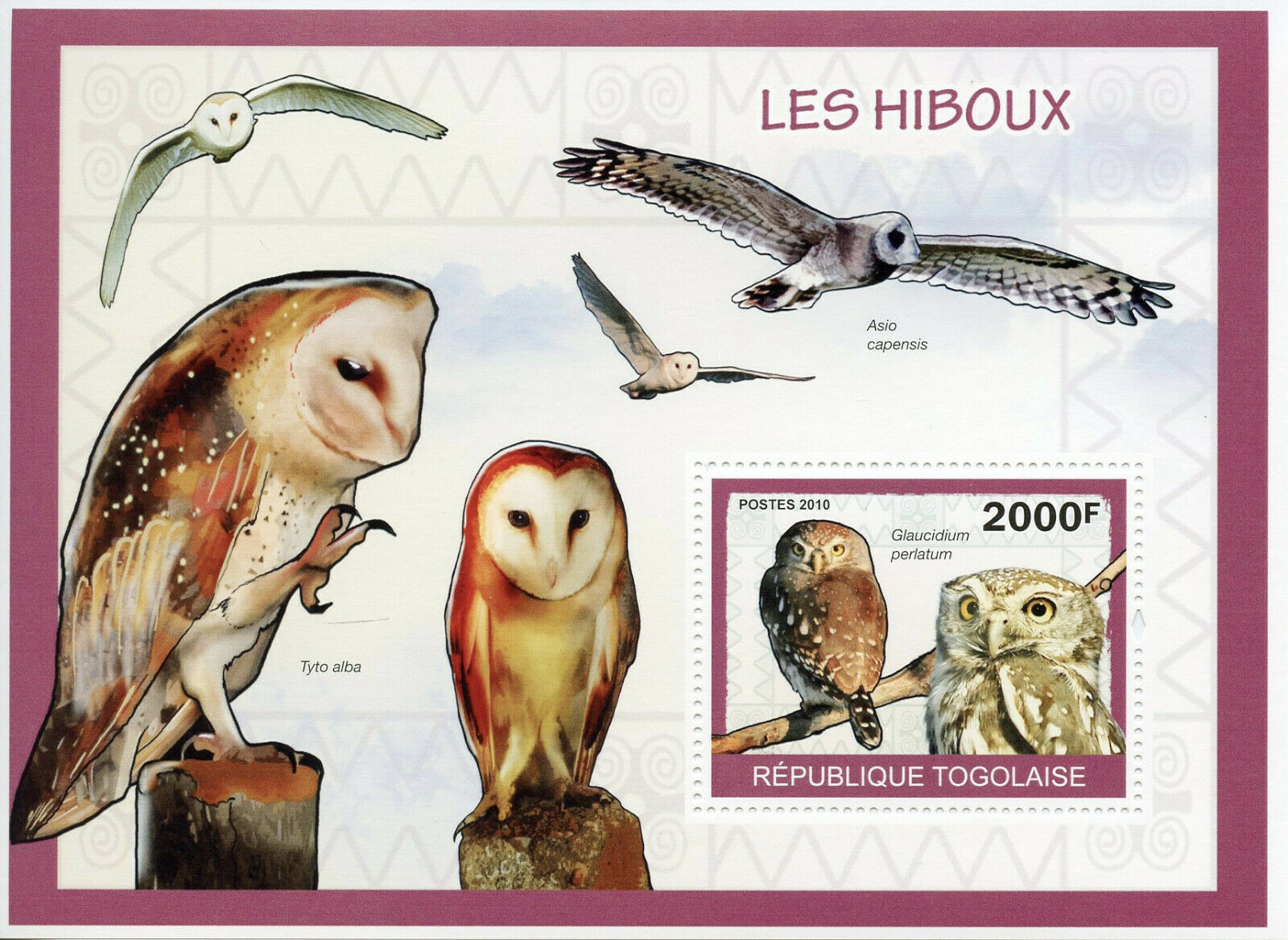 Togo Birds on Stamps 2010 MNH Owls Pearl-spotted Owlet Barn Owl 1v S/S