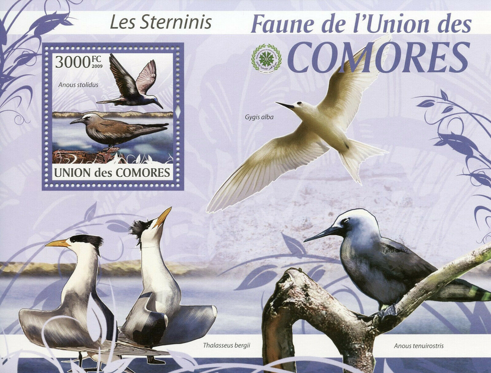 Comoros Birds on Stamps 2009 MNH Terns Caspian Tern Sterninis Fauna 1v S/S