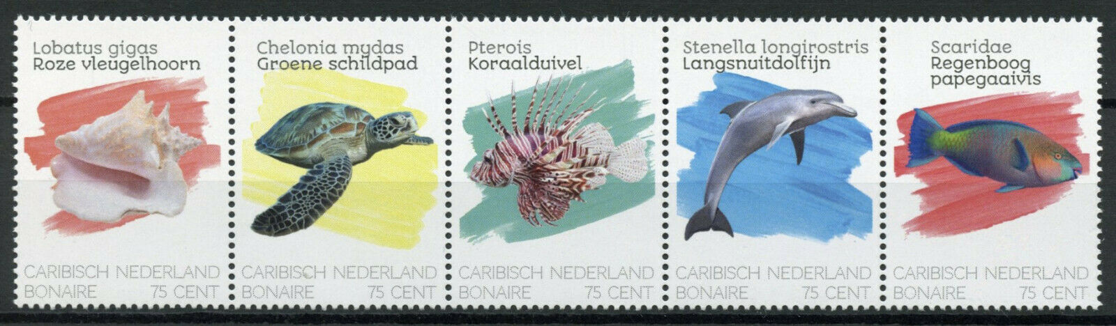 Bonaire Caribbean Netherlands Fish Stamps 2020 MNH Dolphins Turtles 5v Strip