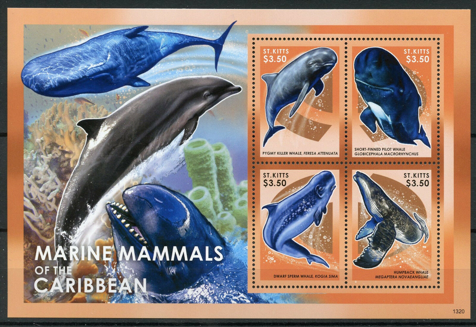 St Kitts 2013 MNH Marine Mammals of Caribbean Sperm Whale 4v M/S Whales Stamps