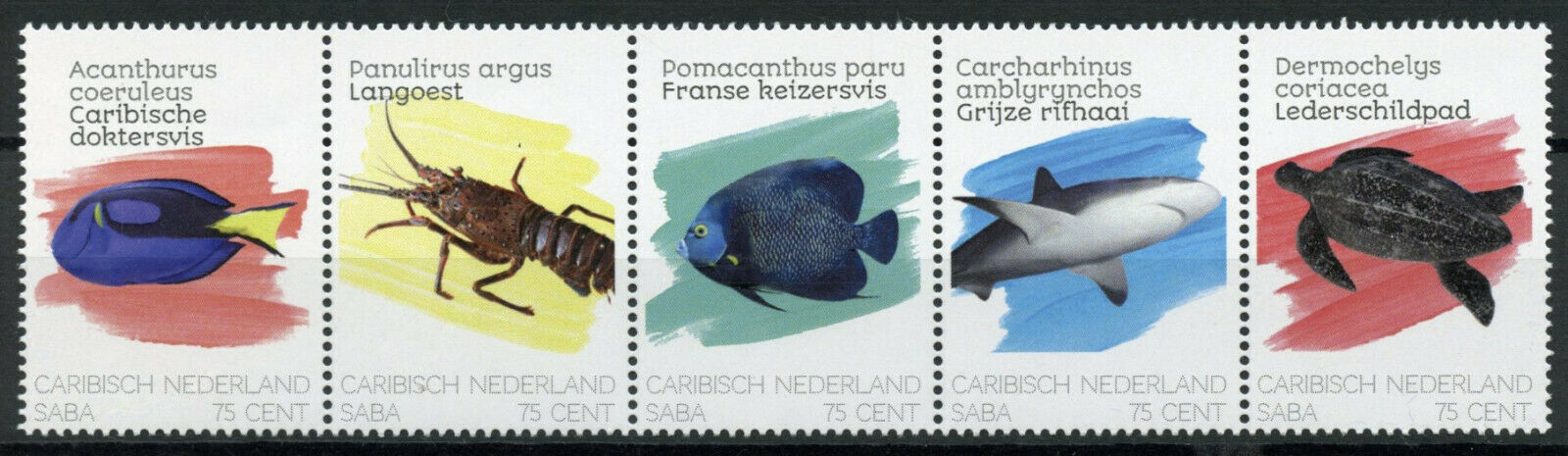Saba Caribbean Netherlands Fish Stamps 2020 MNH Sharks Lobsters Turtles 5v Strip